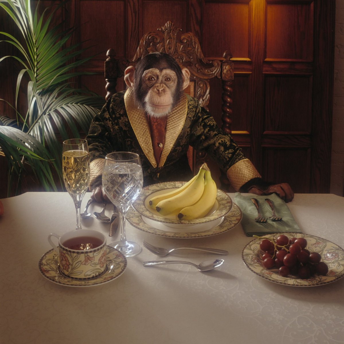 Обезьяна в ресторане