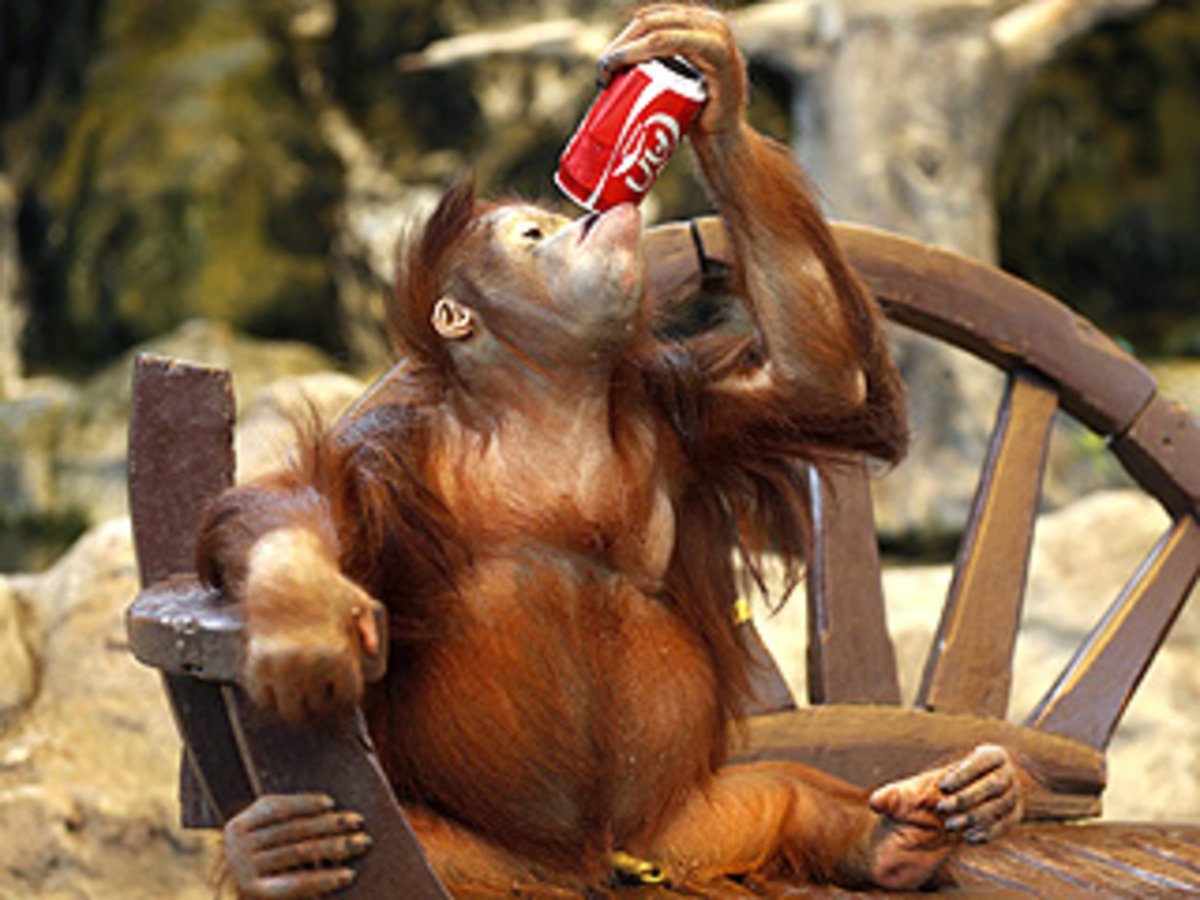 Обезьяна с бокалом