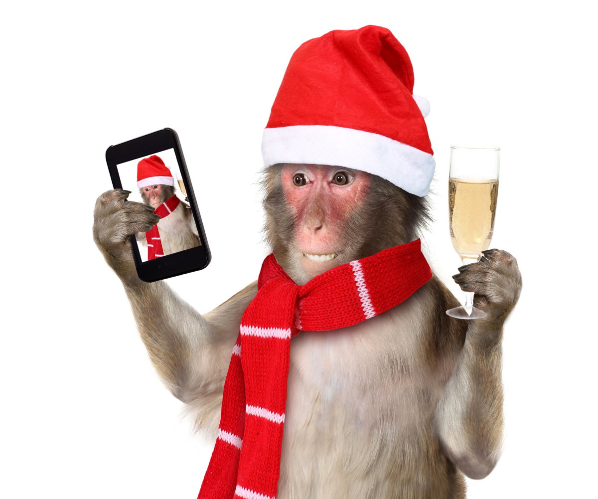 Обезьянка в новогодней шапке