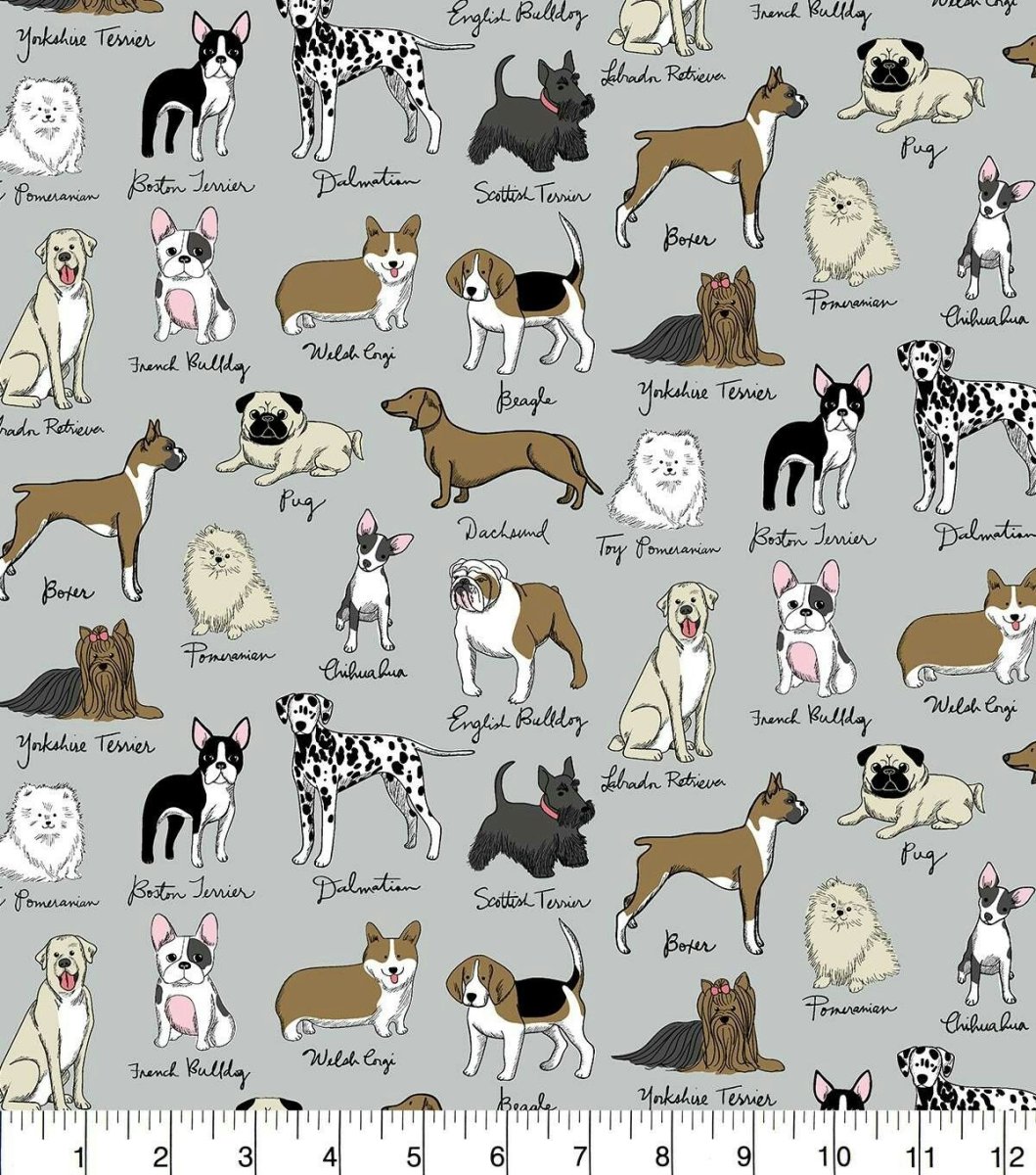 Несколько пород собак