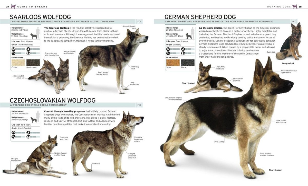 The complete Dog Breed...