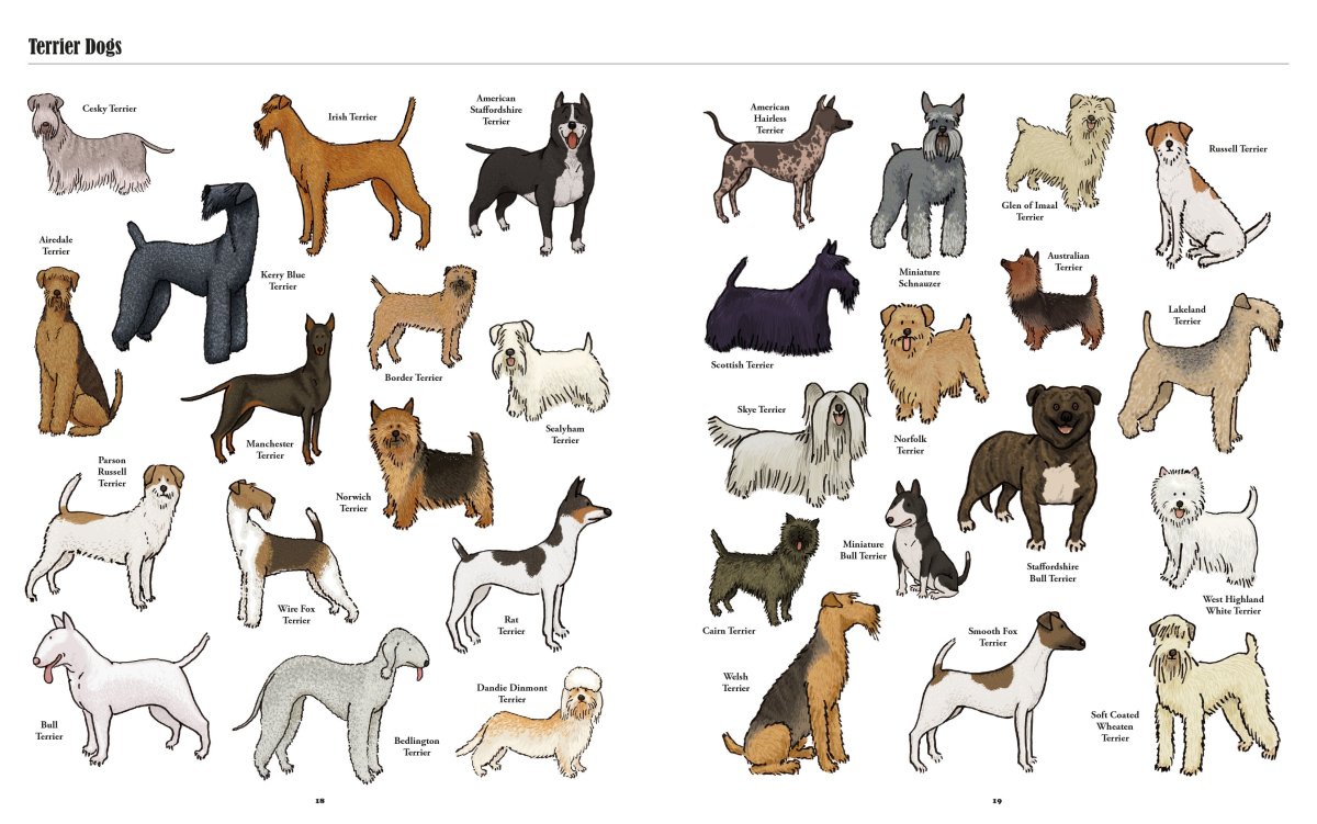 Окрасы бультерьеров таблица