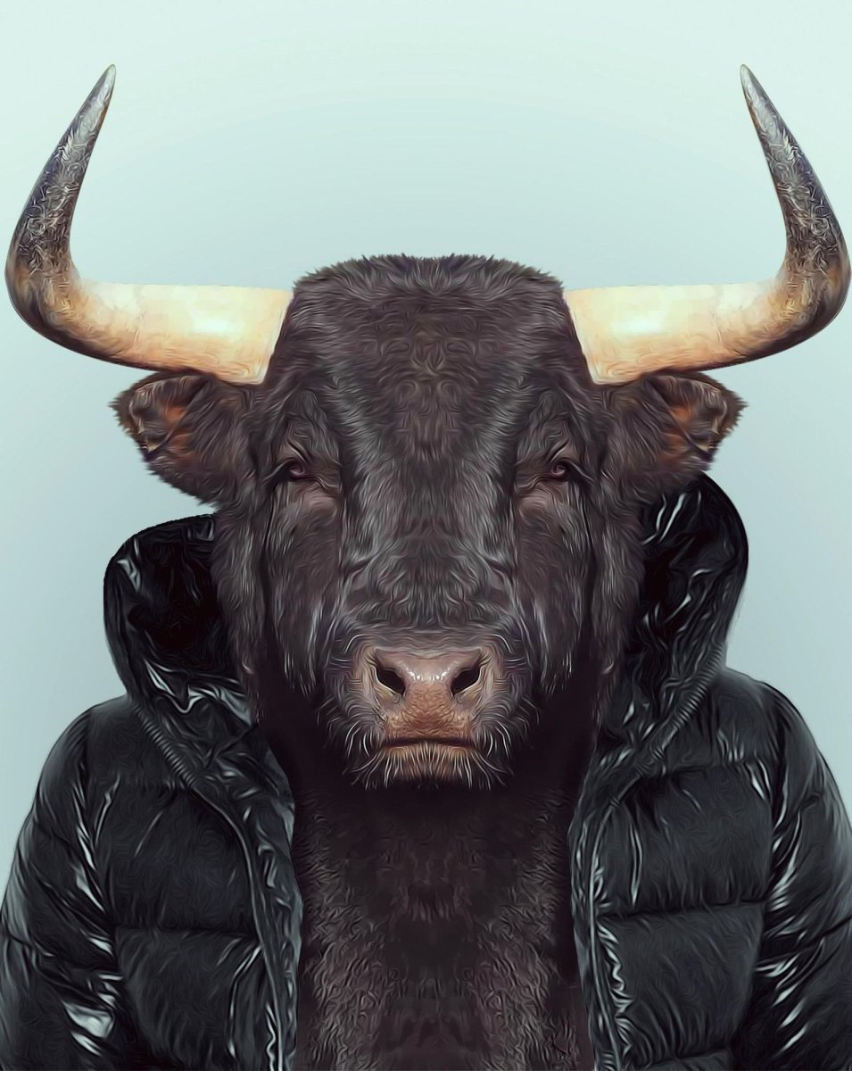 Бычара рогатый