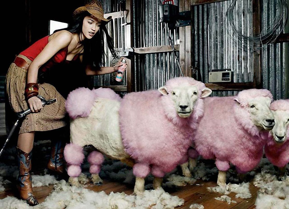 Лама с челкой