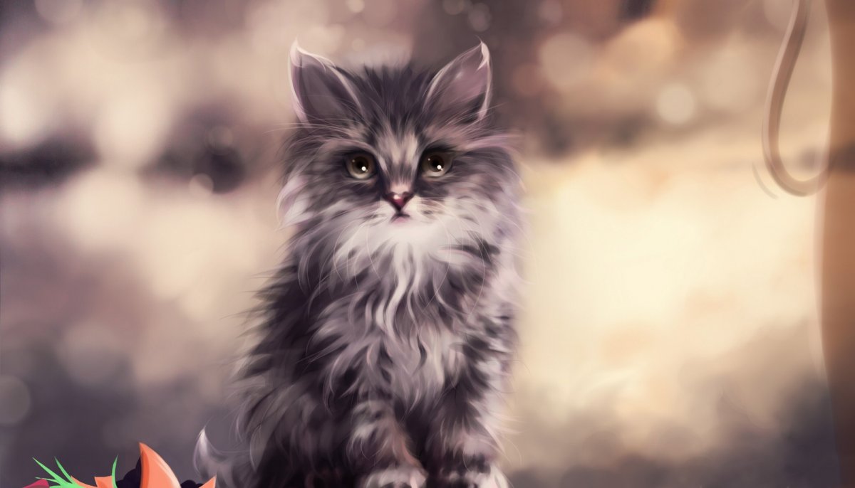 Котята арт красивые