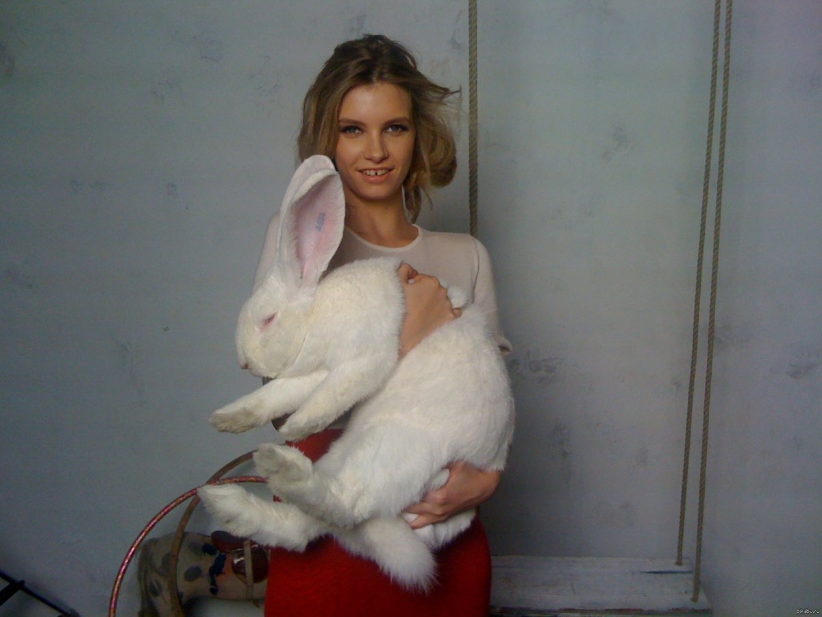 Самый большой заяц