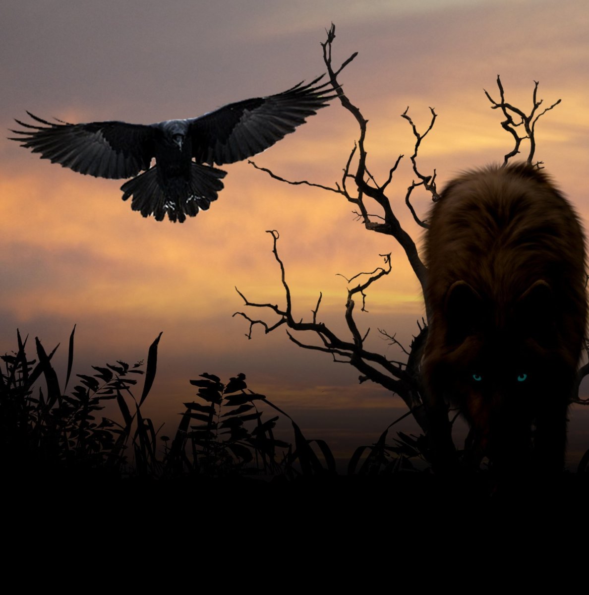 Волки и вороны