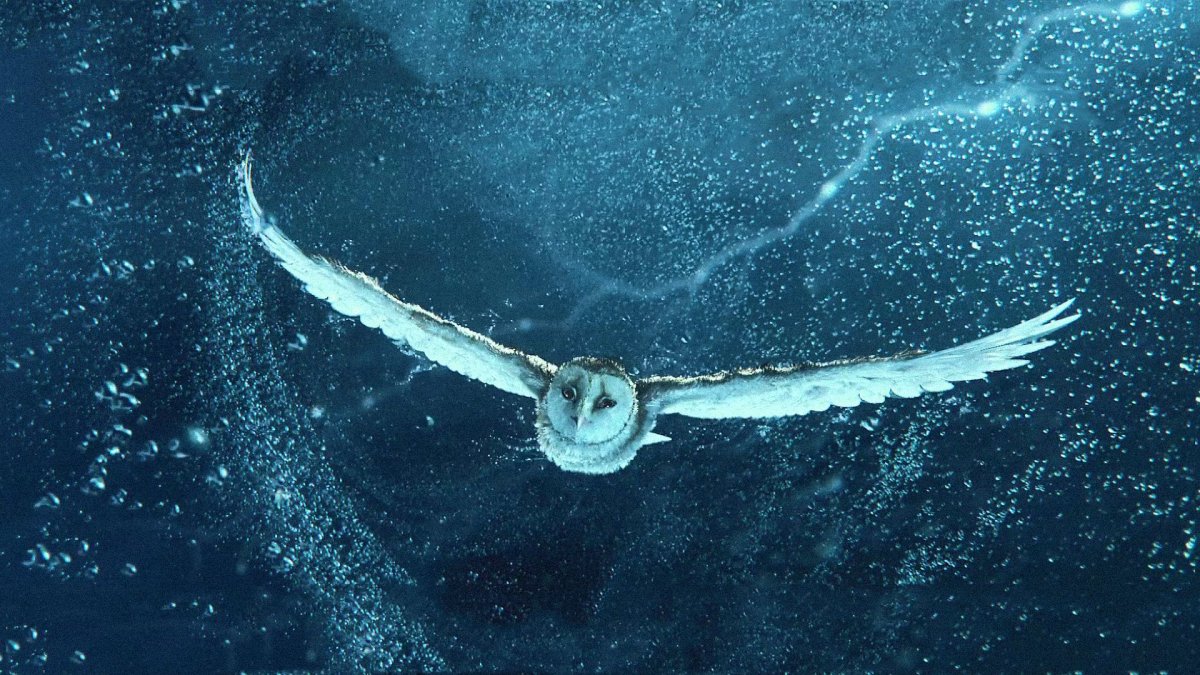 Легенды ночных стражей