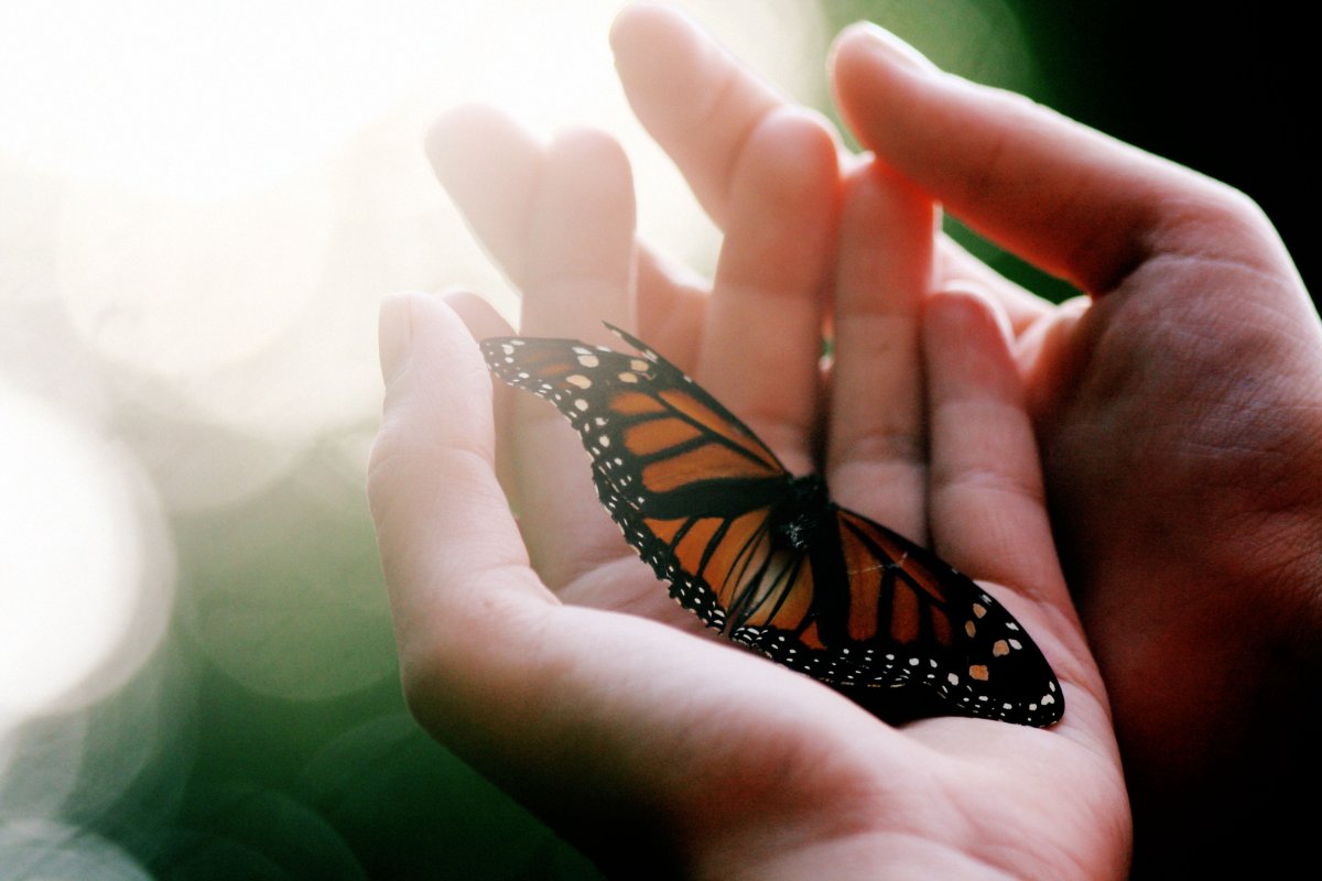 Черно белые картинки