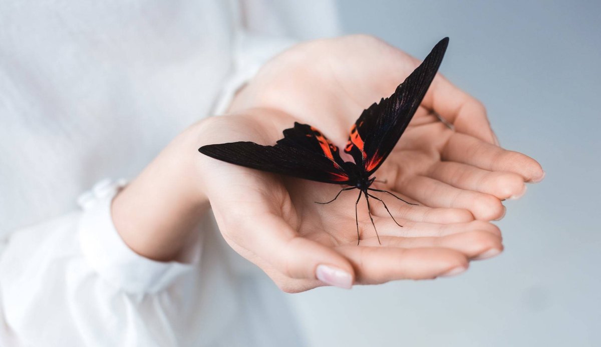 Грустная бабочка