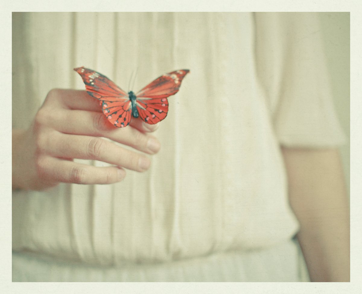 Бабочка на ладони