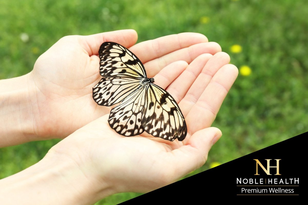 Мотылек на пальце