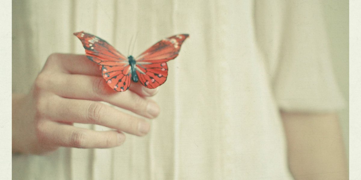 Бабочка села на руку