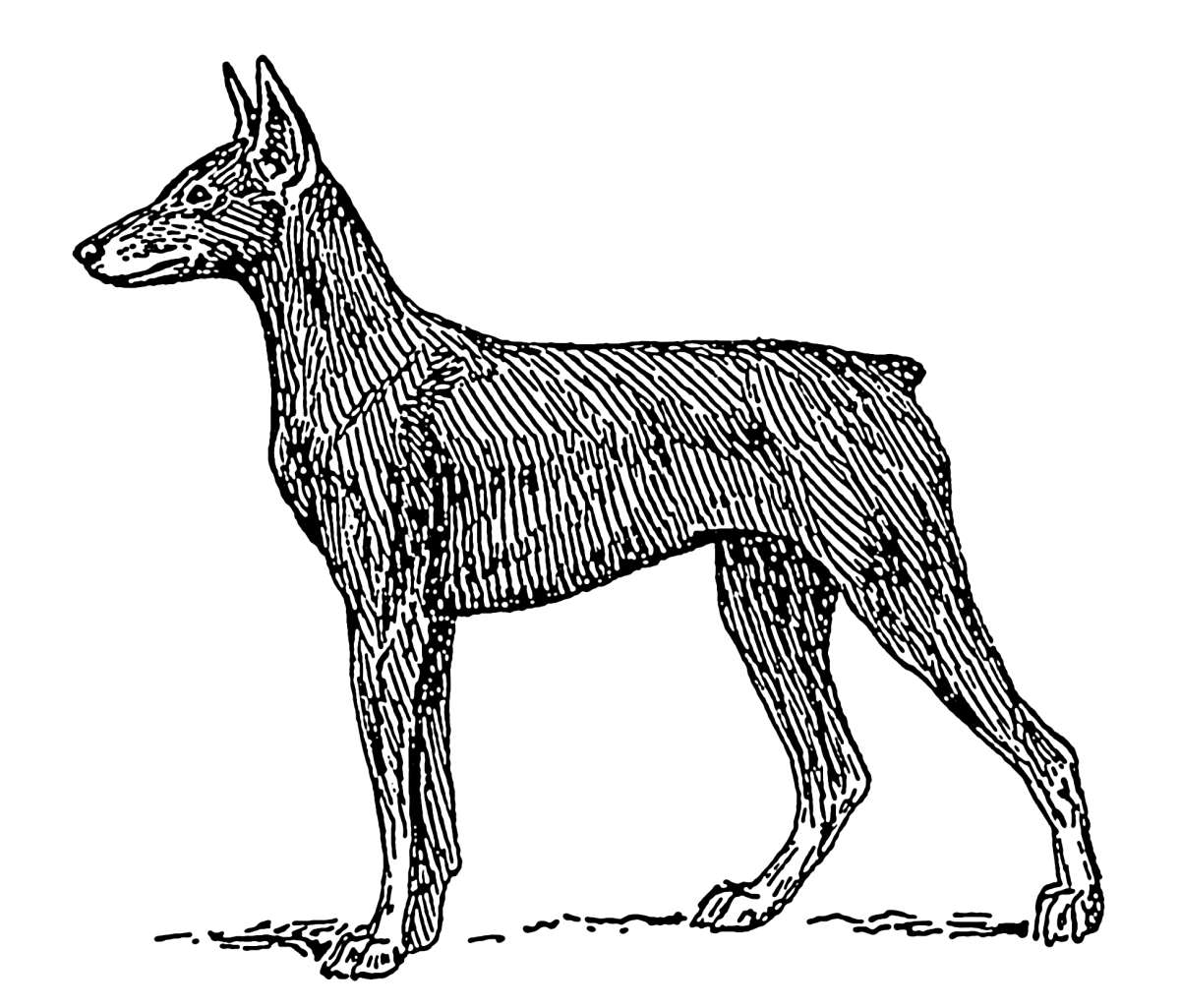 Лошадь и Доберман арт