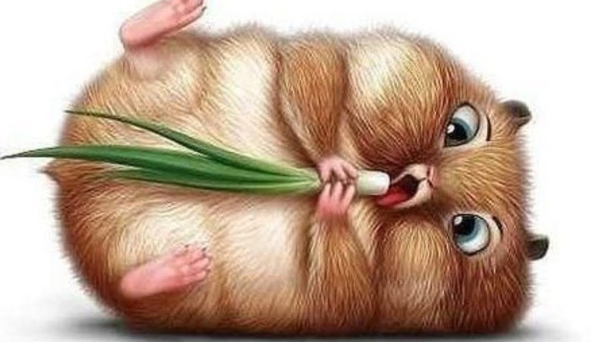 Хомяк в шапочке