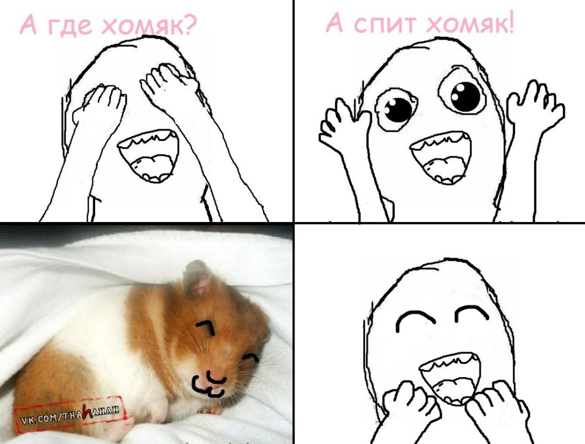 Хомяк отдыхает в колесе