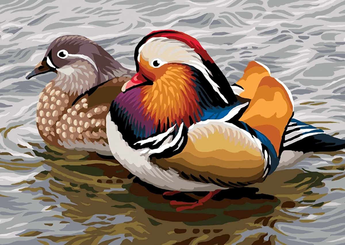 Утка Мандаринка половой диморфизм