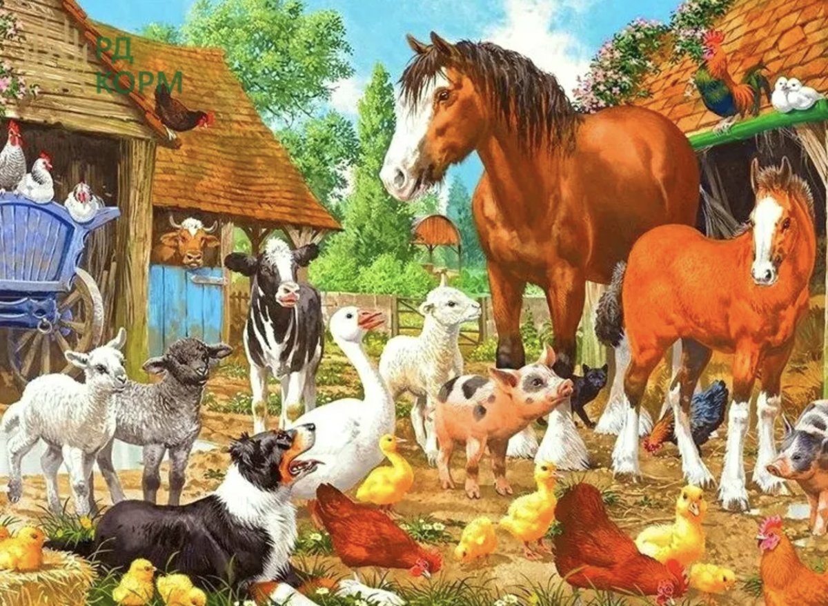 Деревенские животные