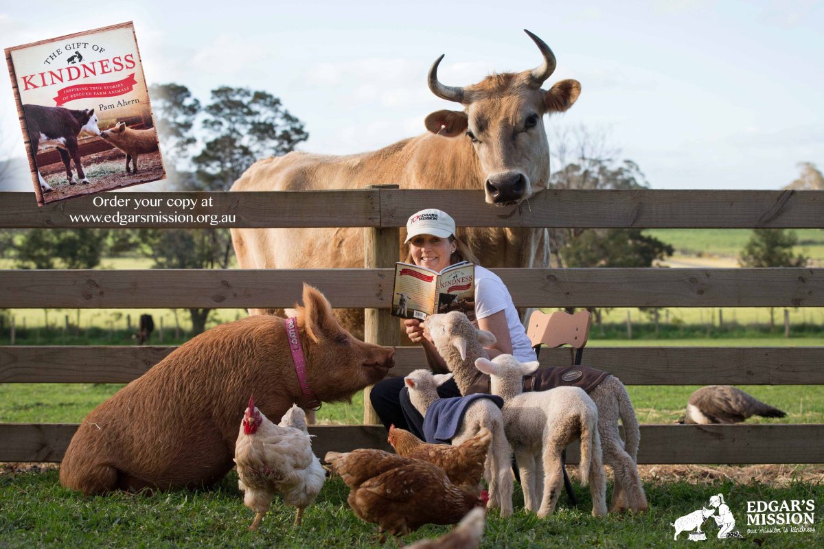 Домашние животные на ферме