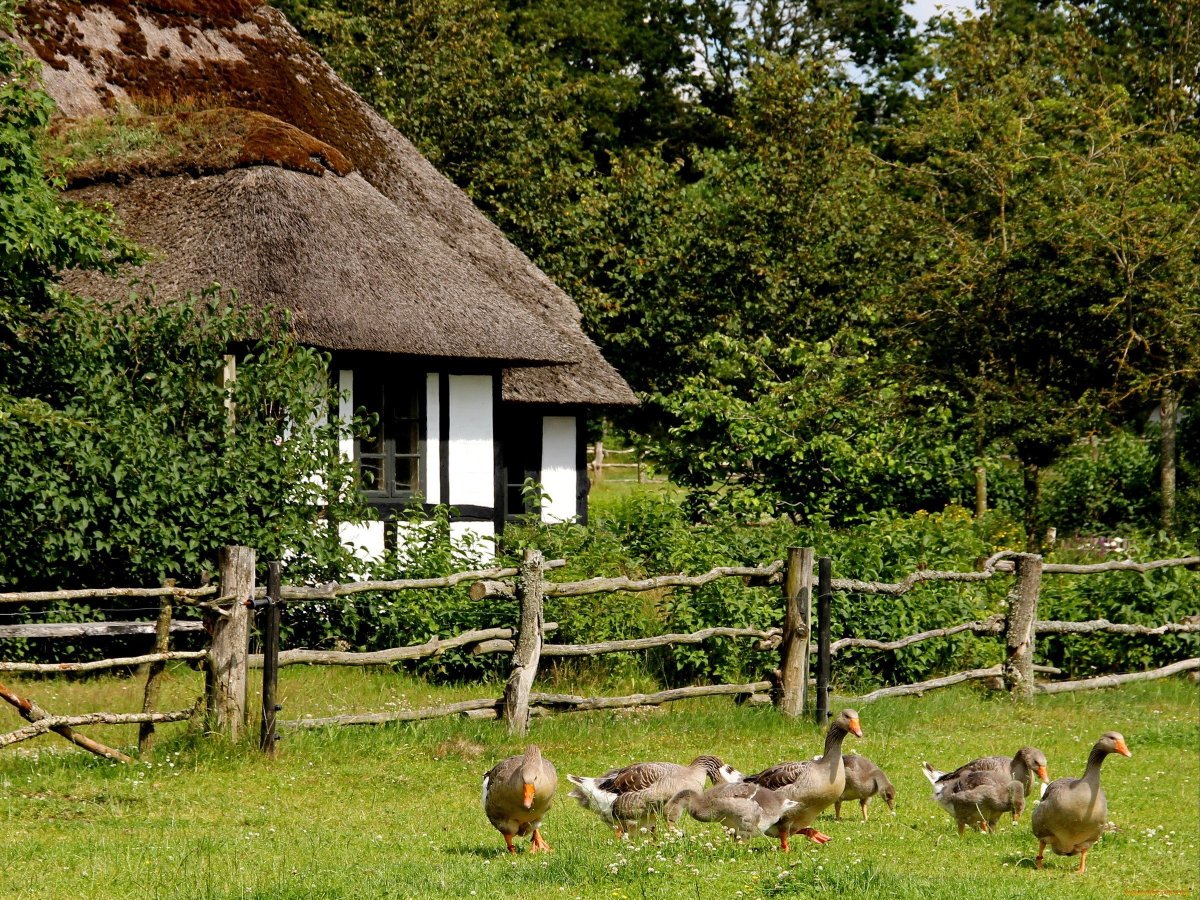 Деревенский пейзаж