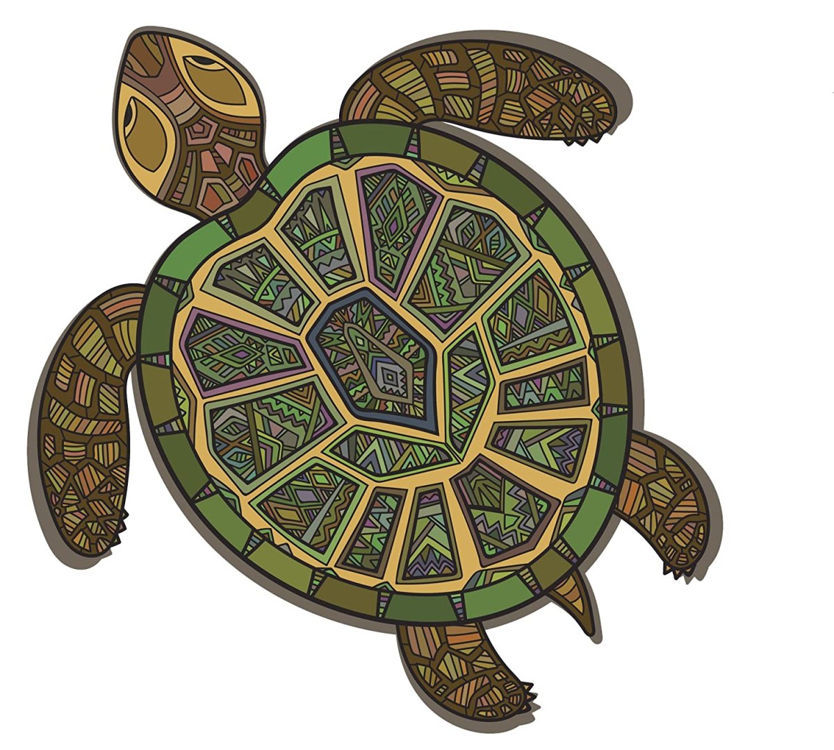 Черепаха бугорчатая черепаха