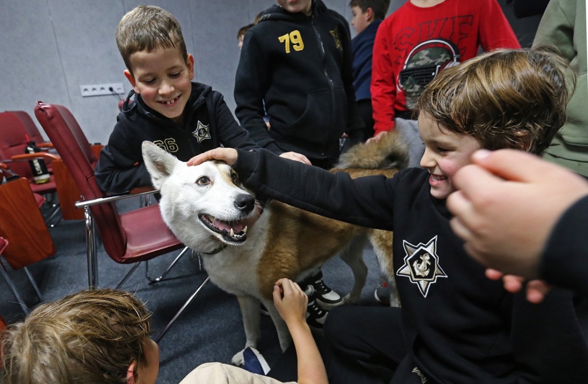 Сенбернар спасатель с бочонком