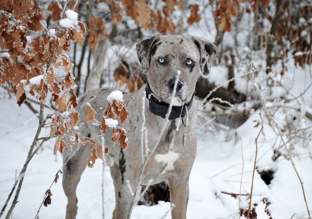 Художник Кристина Хесс