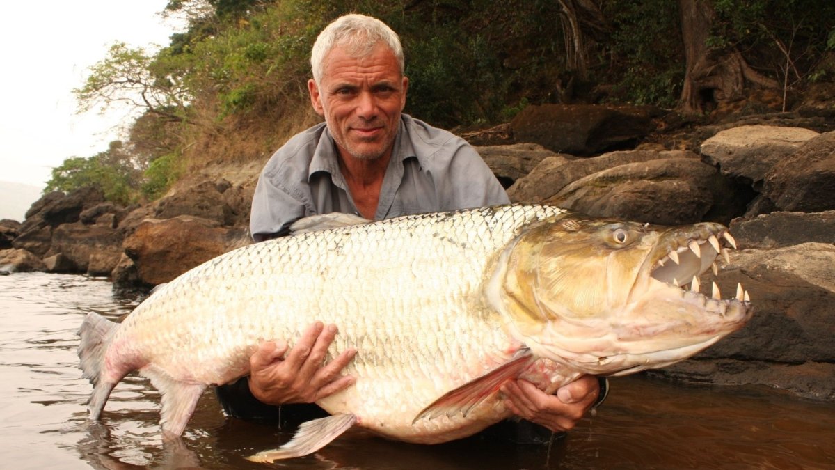 Рыба монстр амазонки пираруку