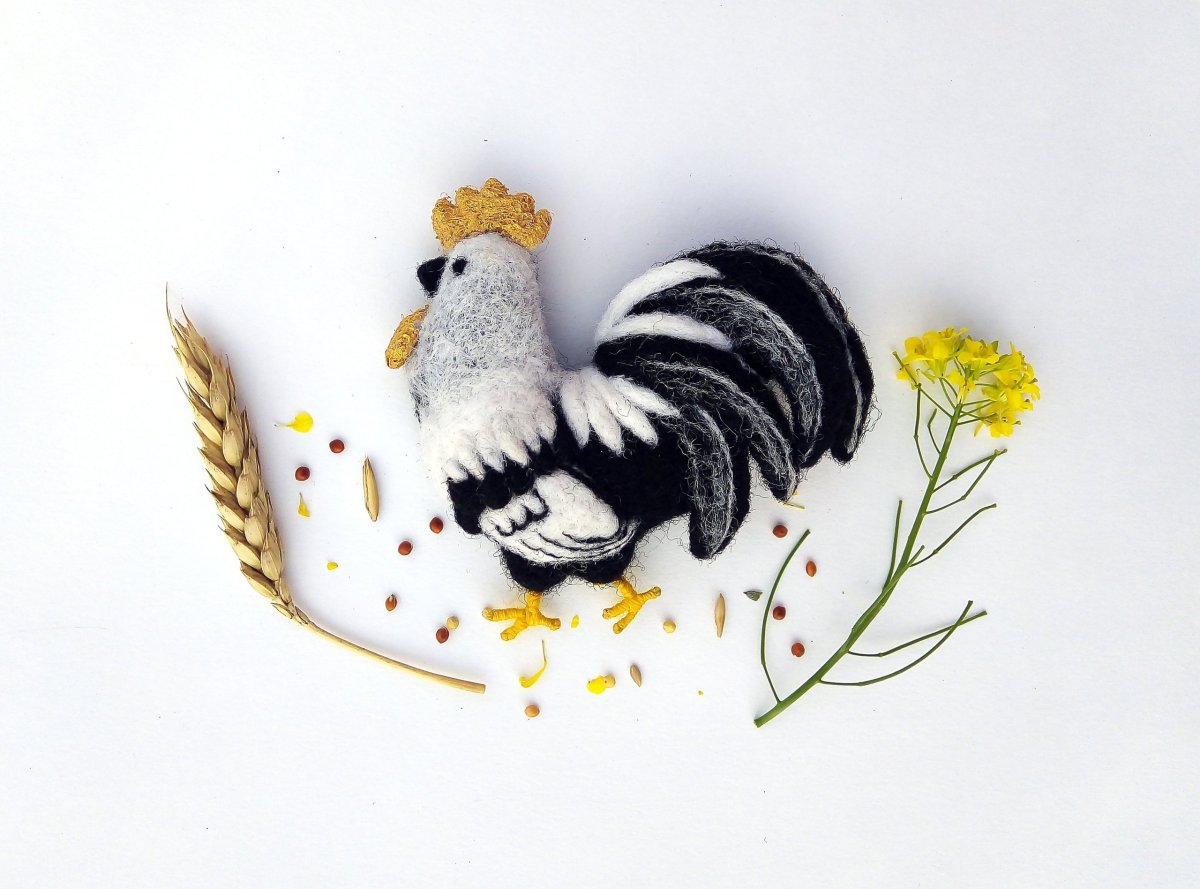 Чёрная птица с красным хохолком