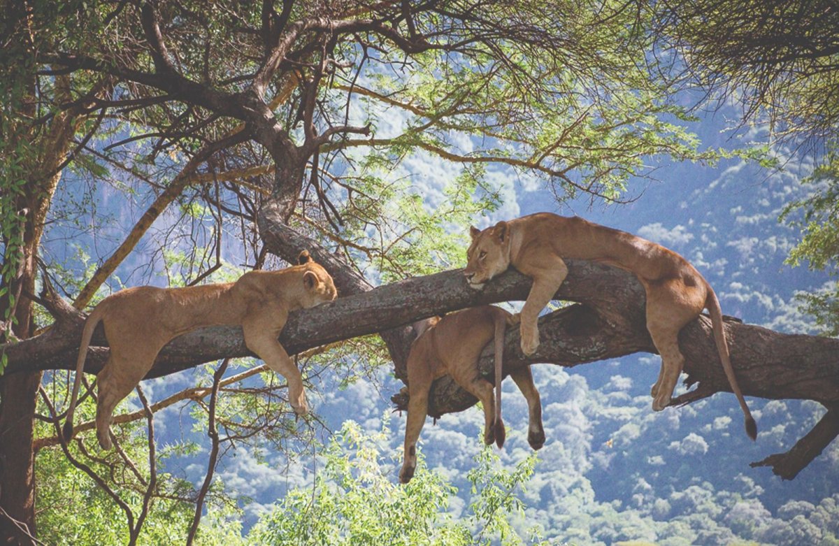 Маньяра национальный парк