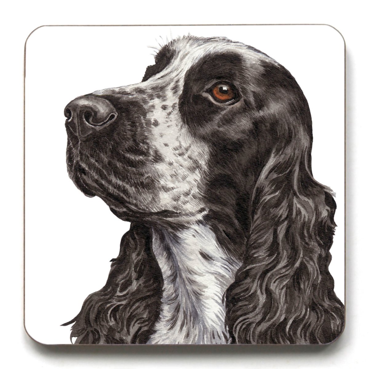 Русский спаниель