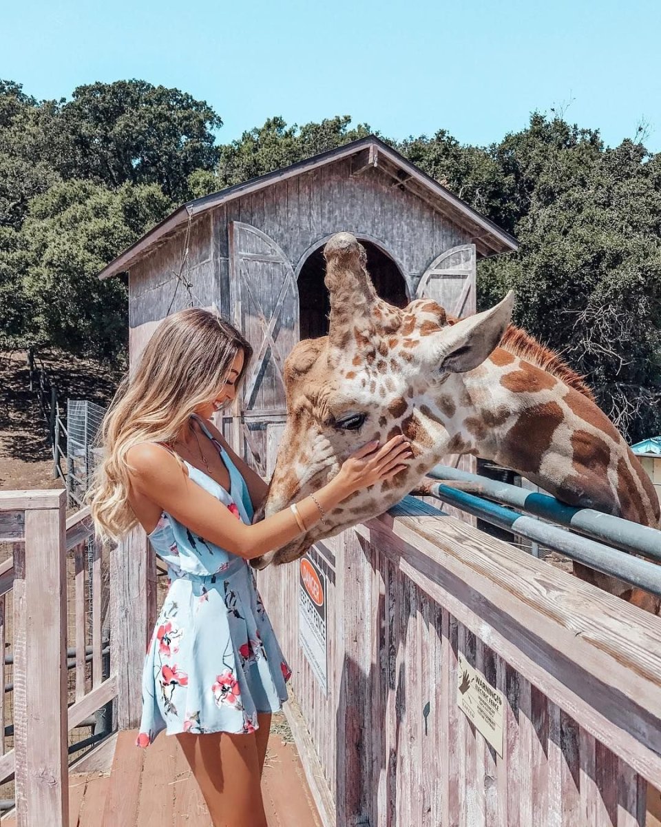 Дикие животные Абхазии