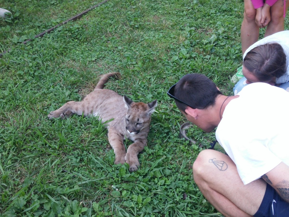 Парк Львов Прайд