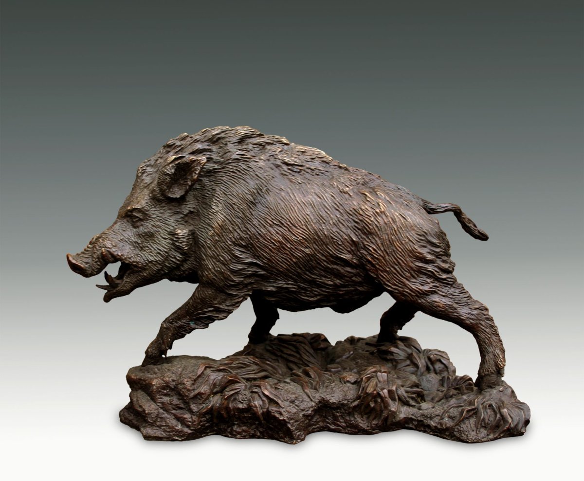 Кабан в дикой природе