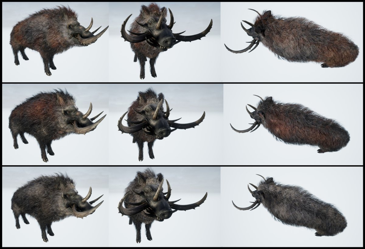 Животные леса на одном листе