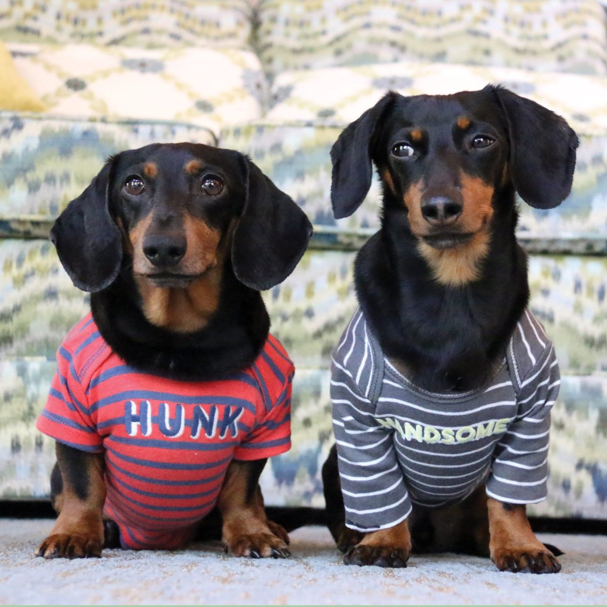 Такса Барри