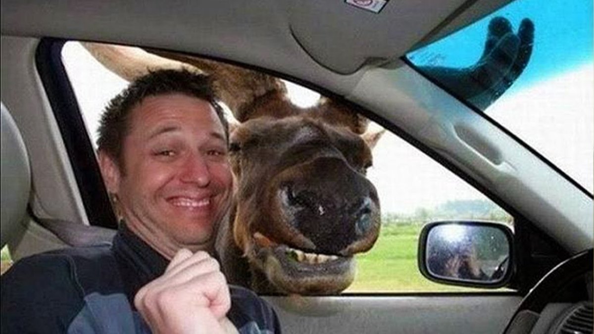 Артур Вилкс