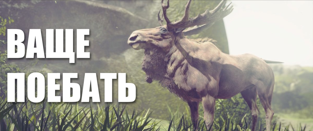 Лось философ