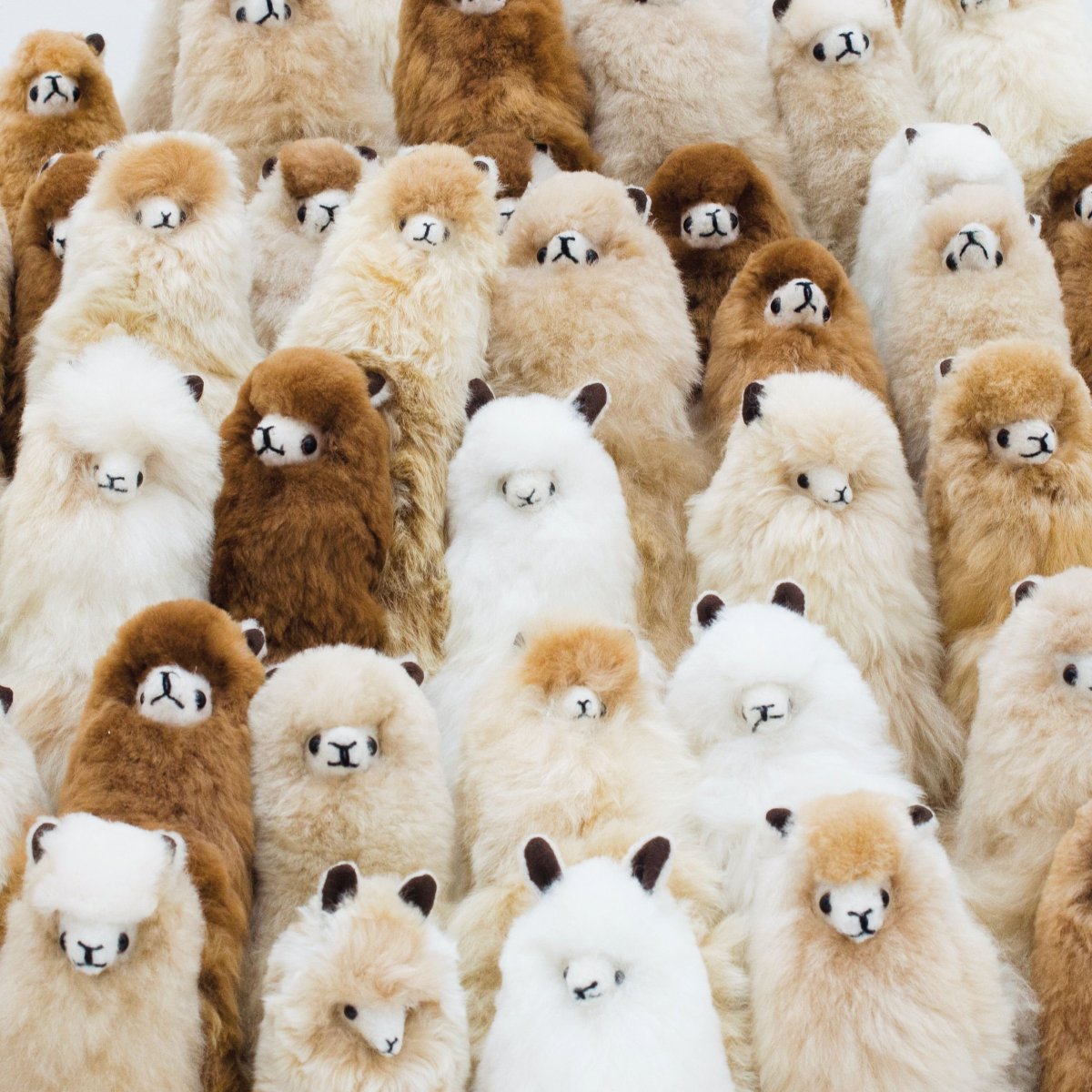 Милые альпаки