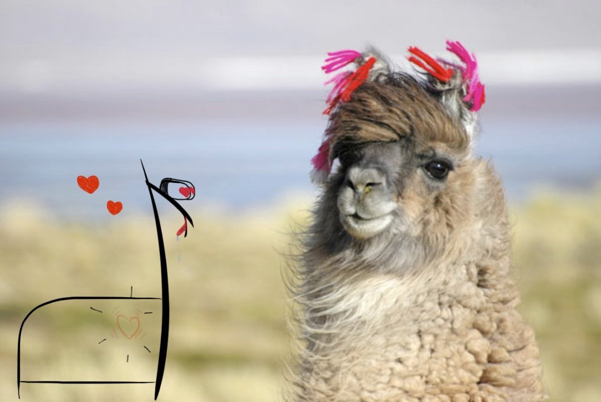 Счастливая лама