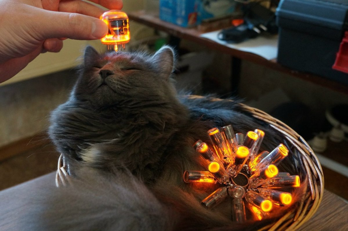 Кошачье электричество