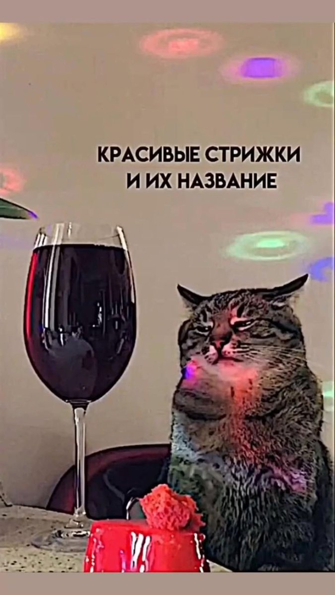 Кот Степан с бокалом