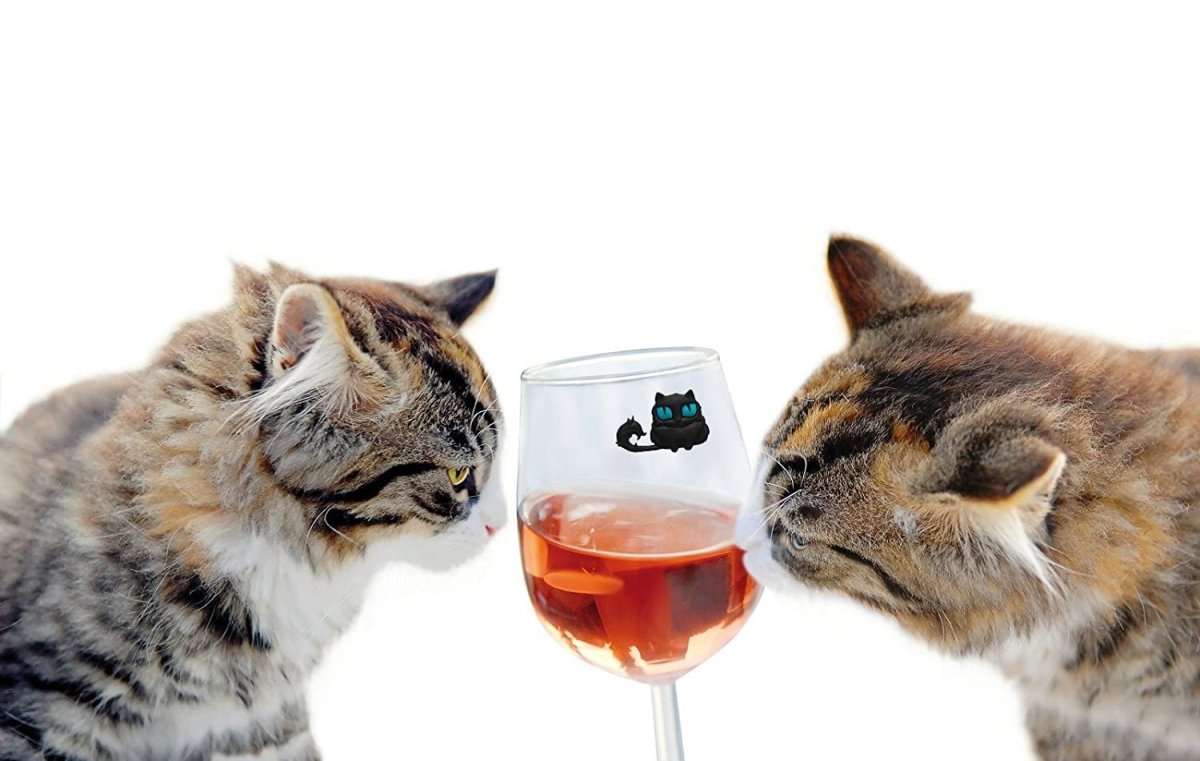 Коты и вино