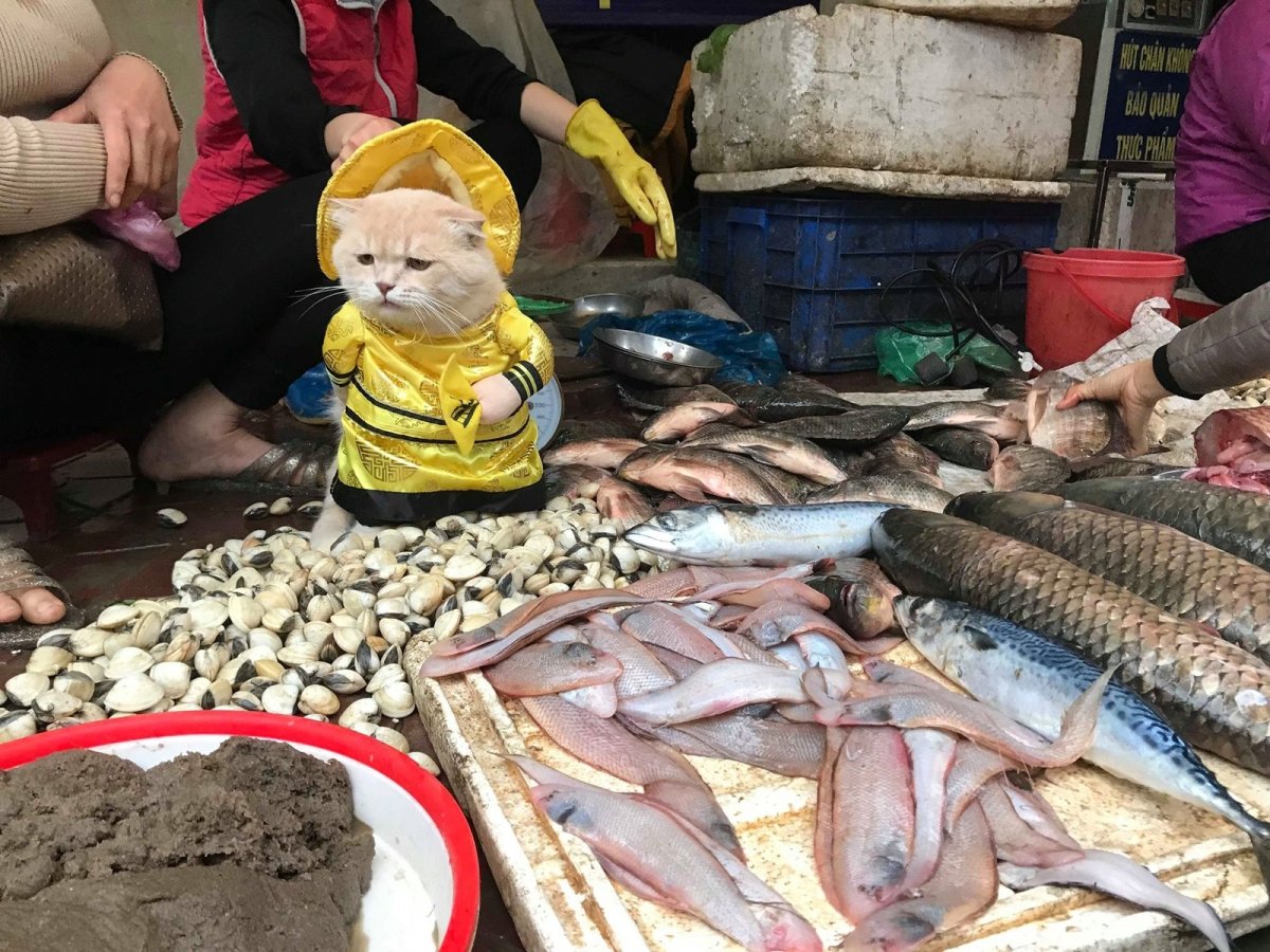 Продавец рыбы на рынке