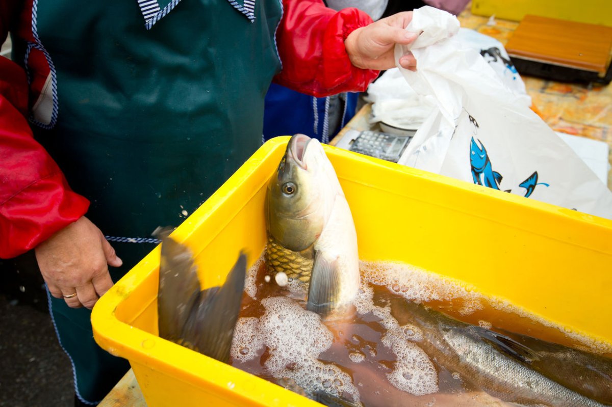 Продавец рыбы на рынке