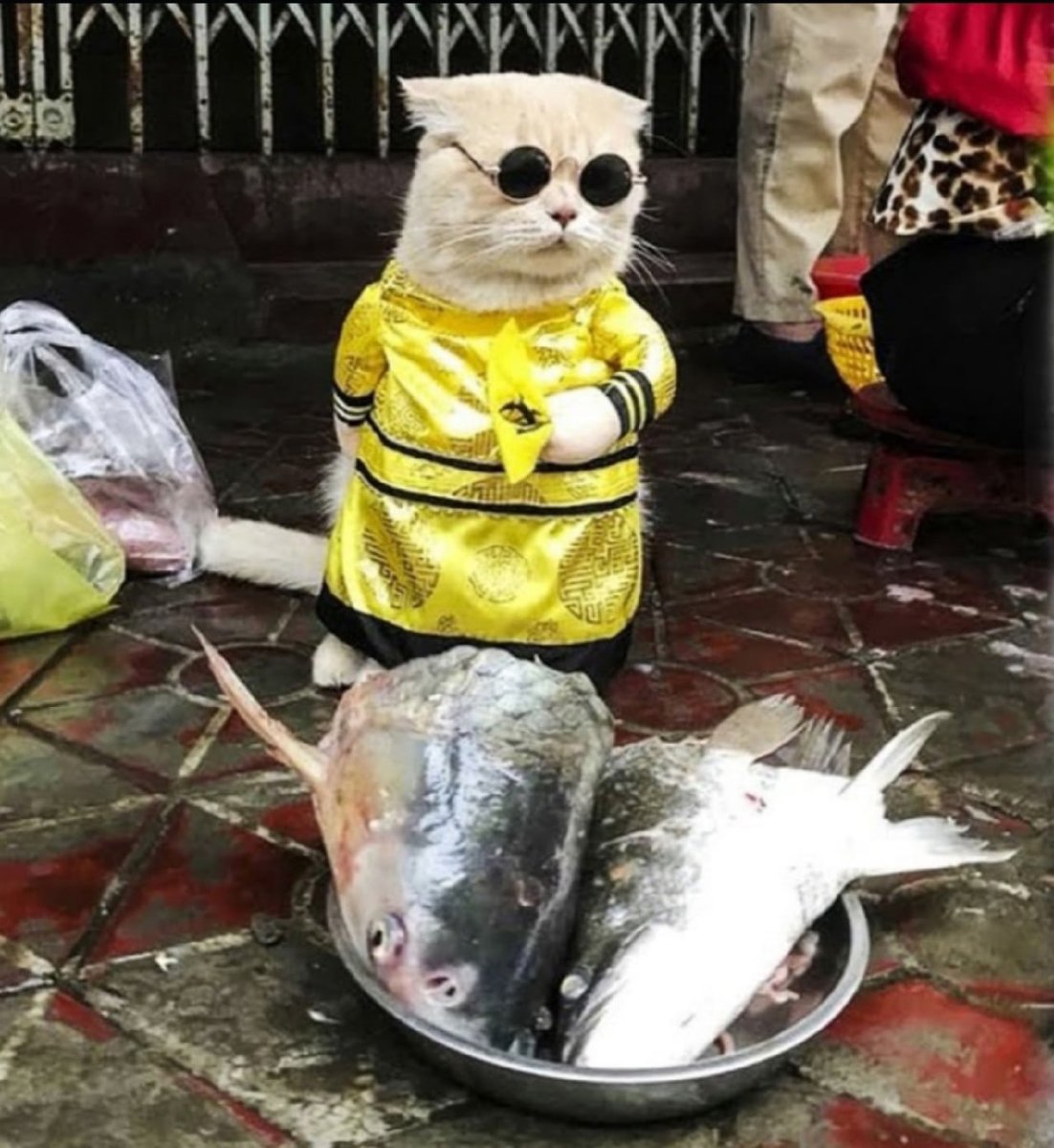 Продавщица рыбного магазина