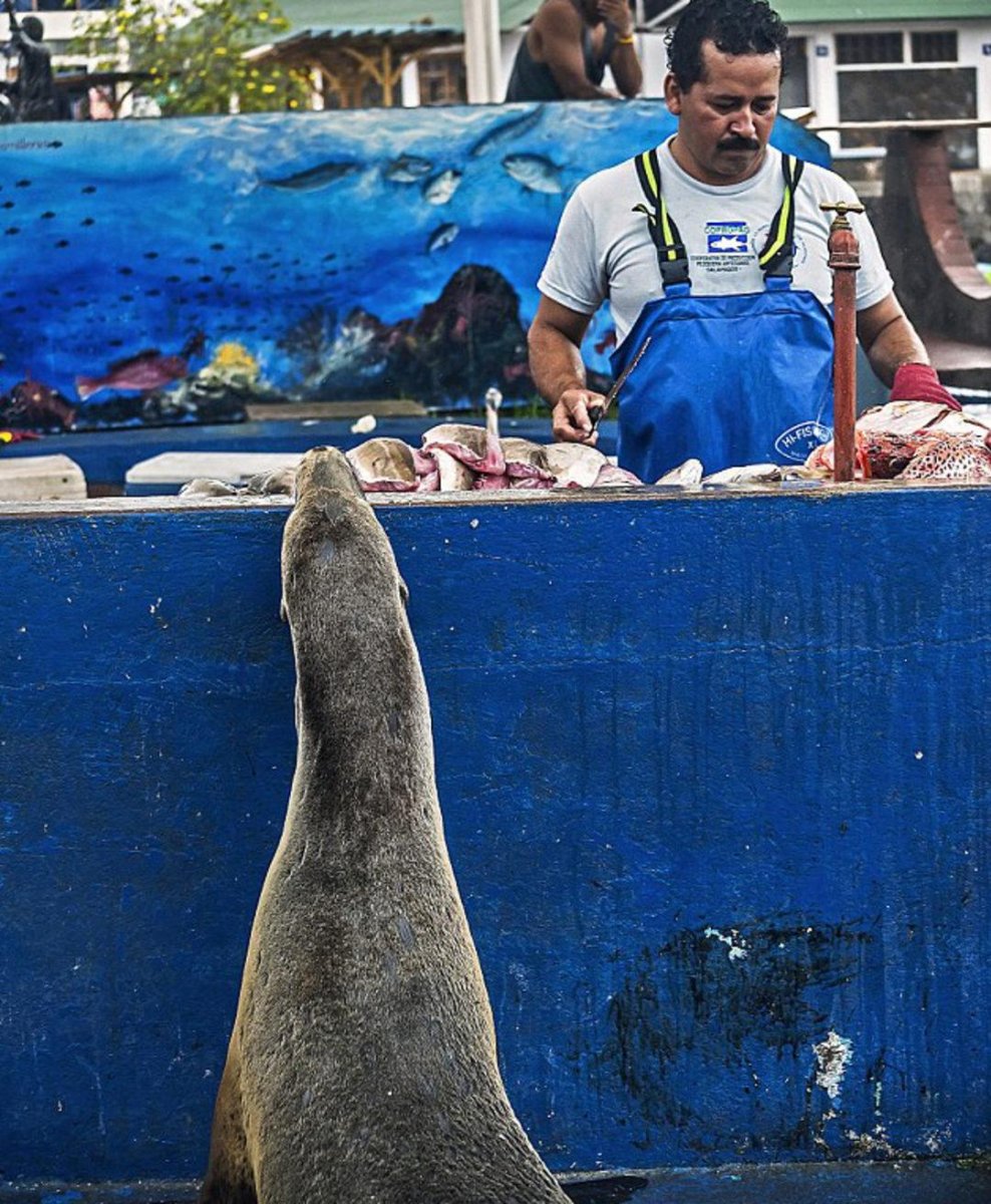 Пенсионеры на рыбной Ярмарке