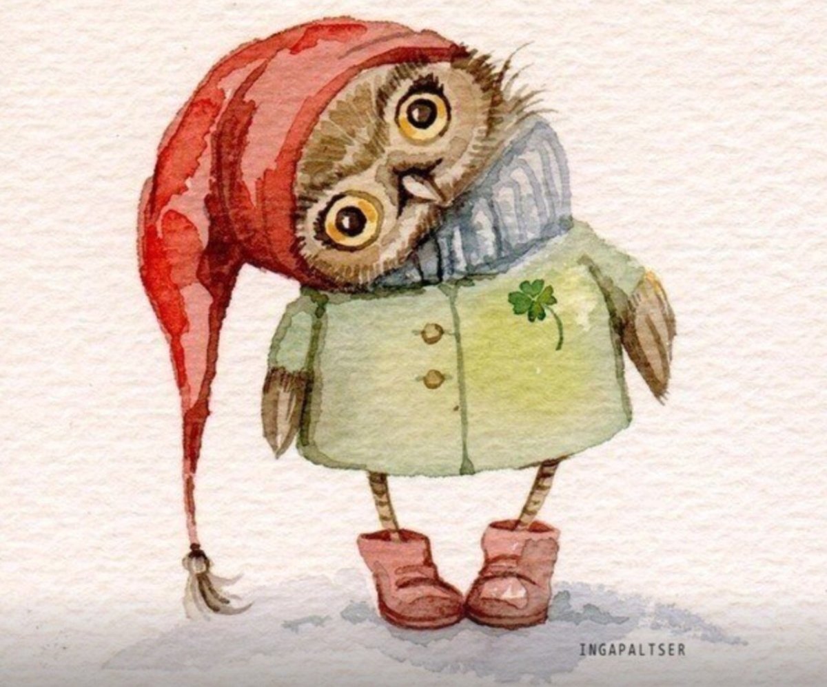 Смешная Сонная Сова