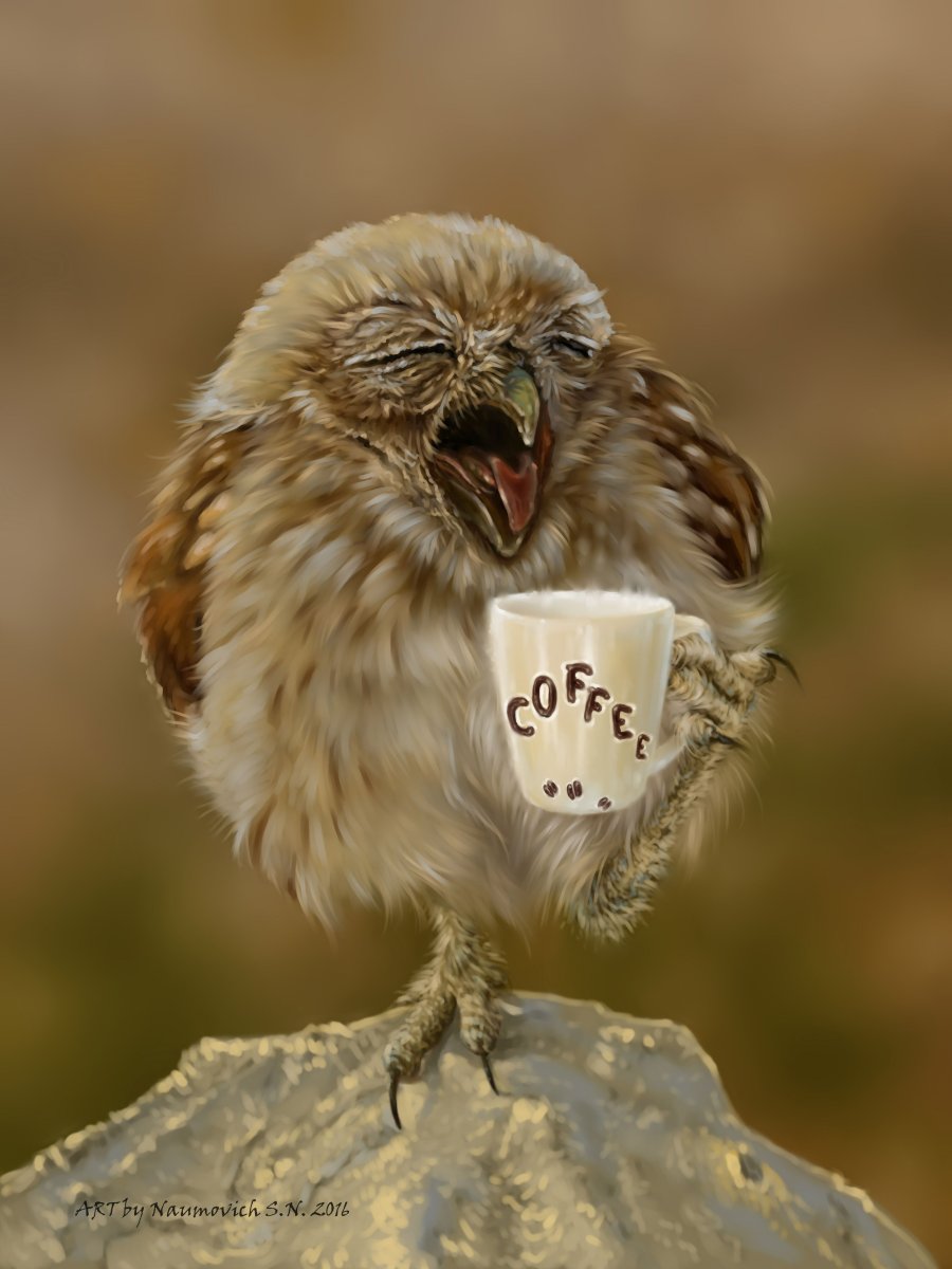 Утро добрым бывает картинки