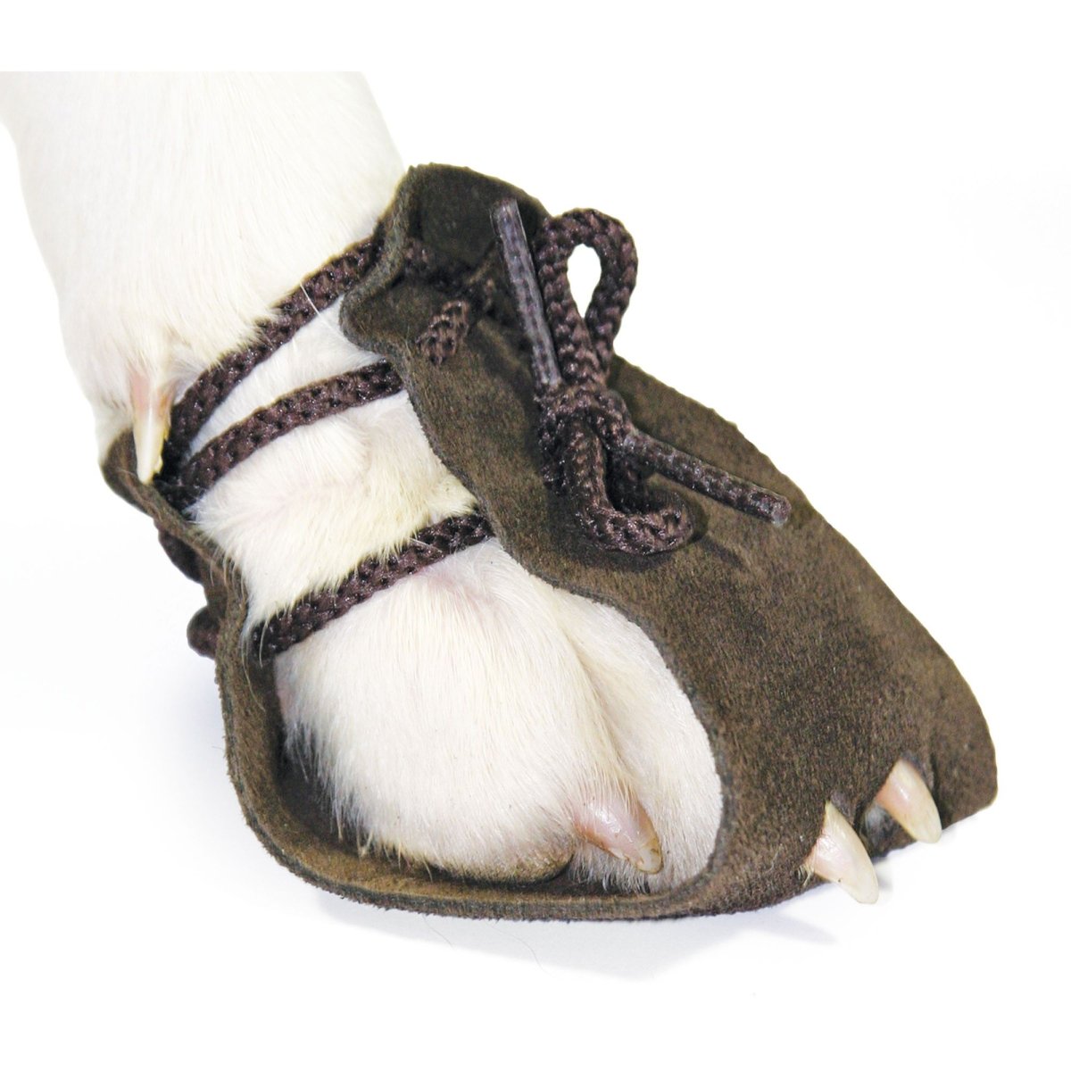 Крысиные сапоги